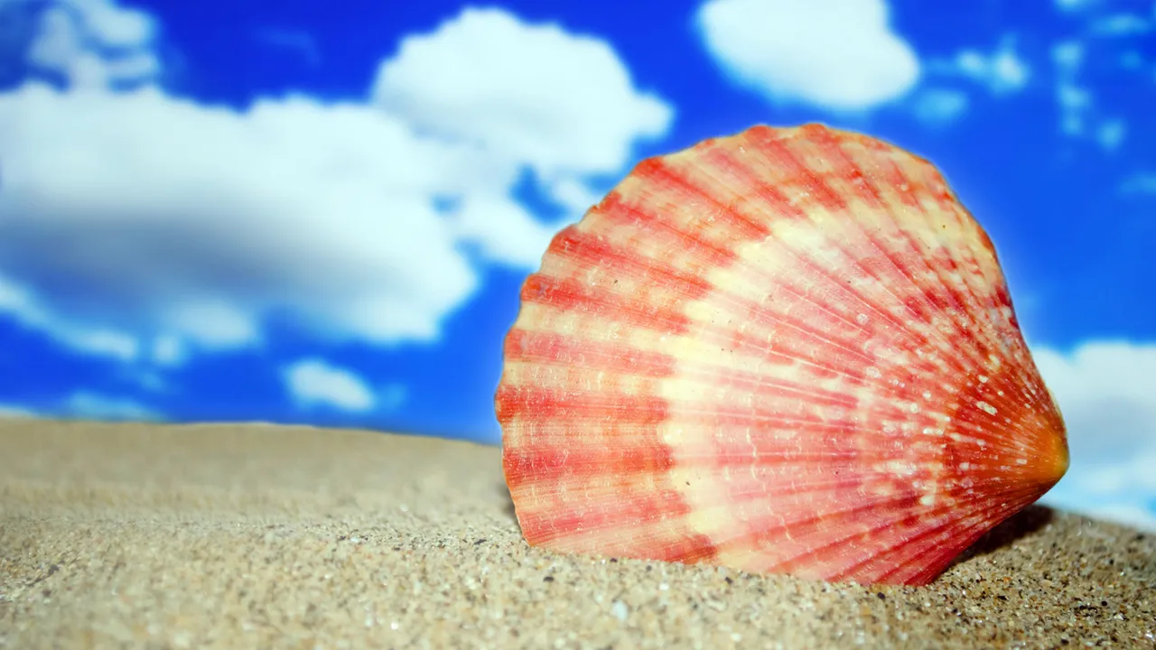 pork chops with cream sauce