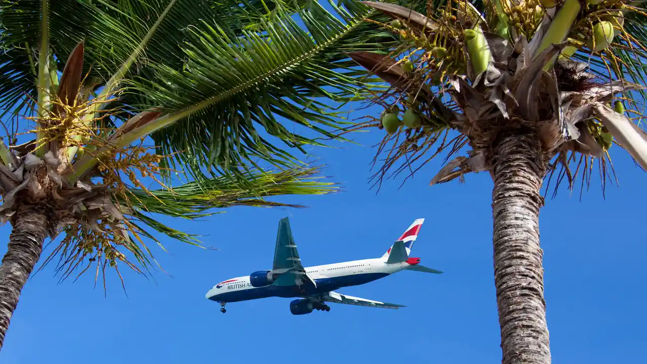 pork chops with cream sauce