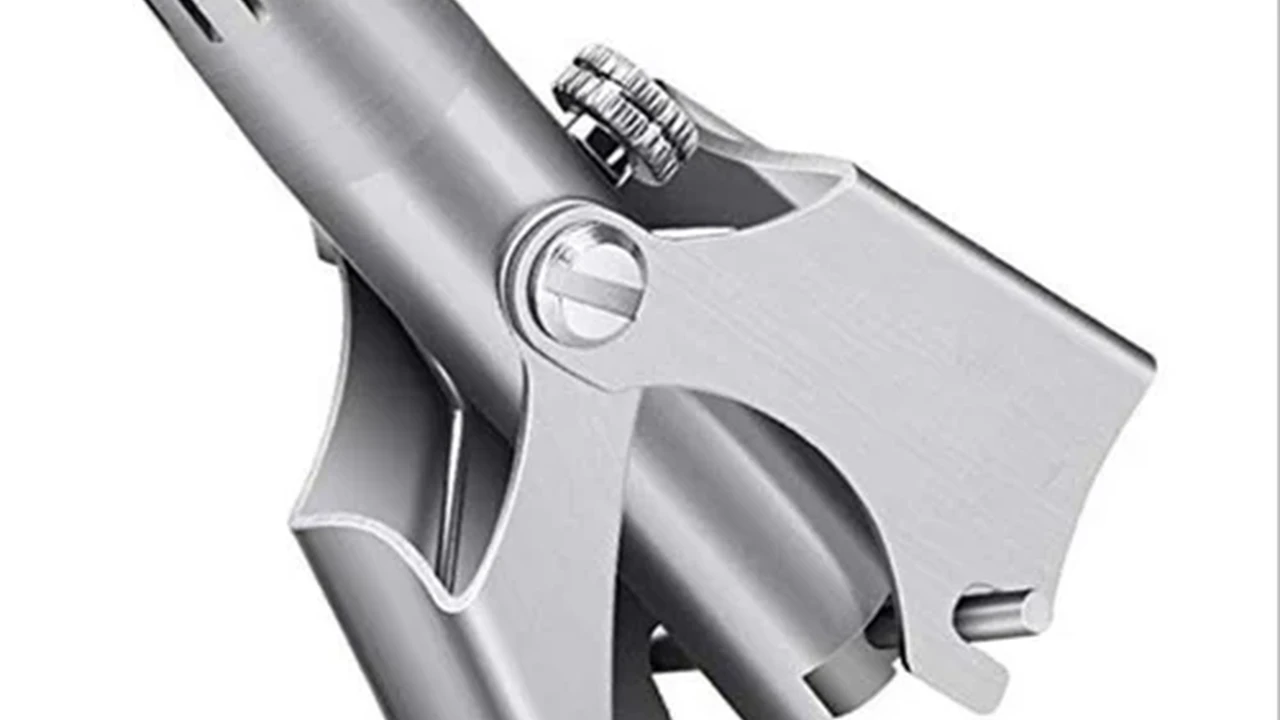 pork chops with cream sauce